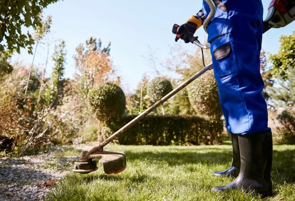 terceirização jardinagem